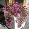 Artificial Hanging Flowers for Outdoors, 2 Pcs Fake Hanging Plant Spring(Light Purple Red)